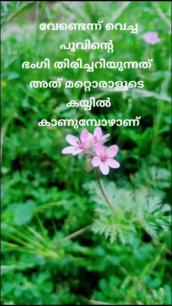 @KL10 പട്ടാളം