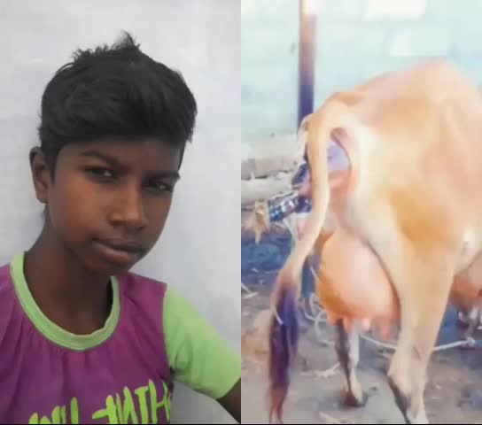@chandru