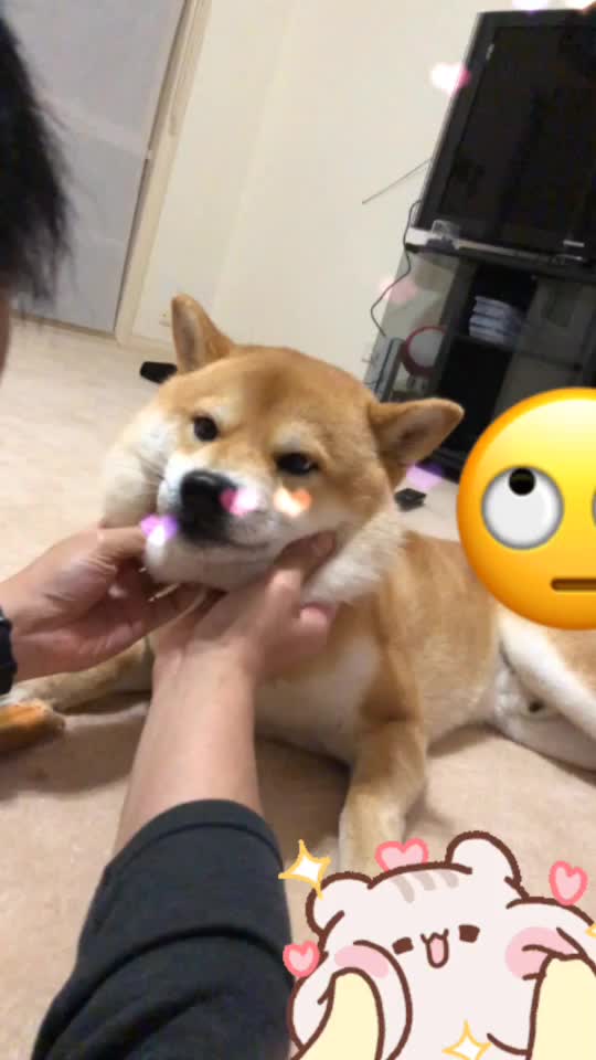 @Mochi.Shogun