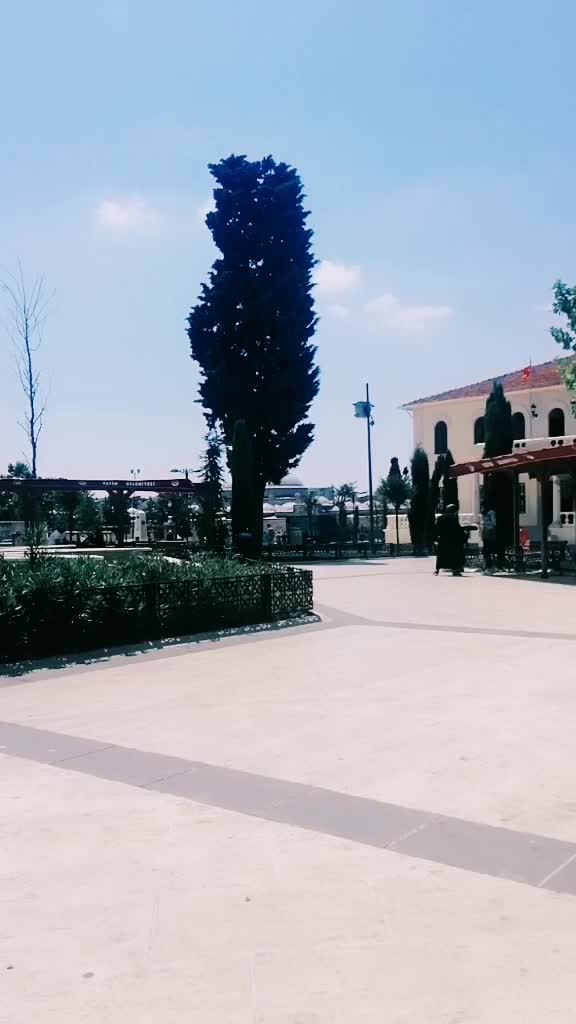 @صاحب العيون الخضر