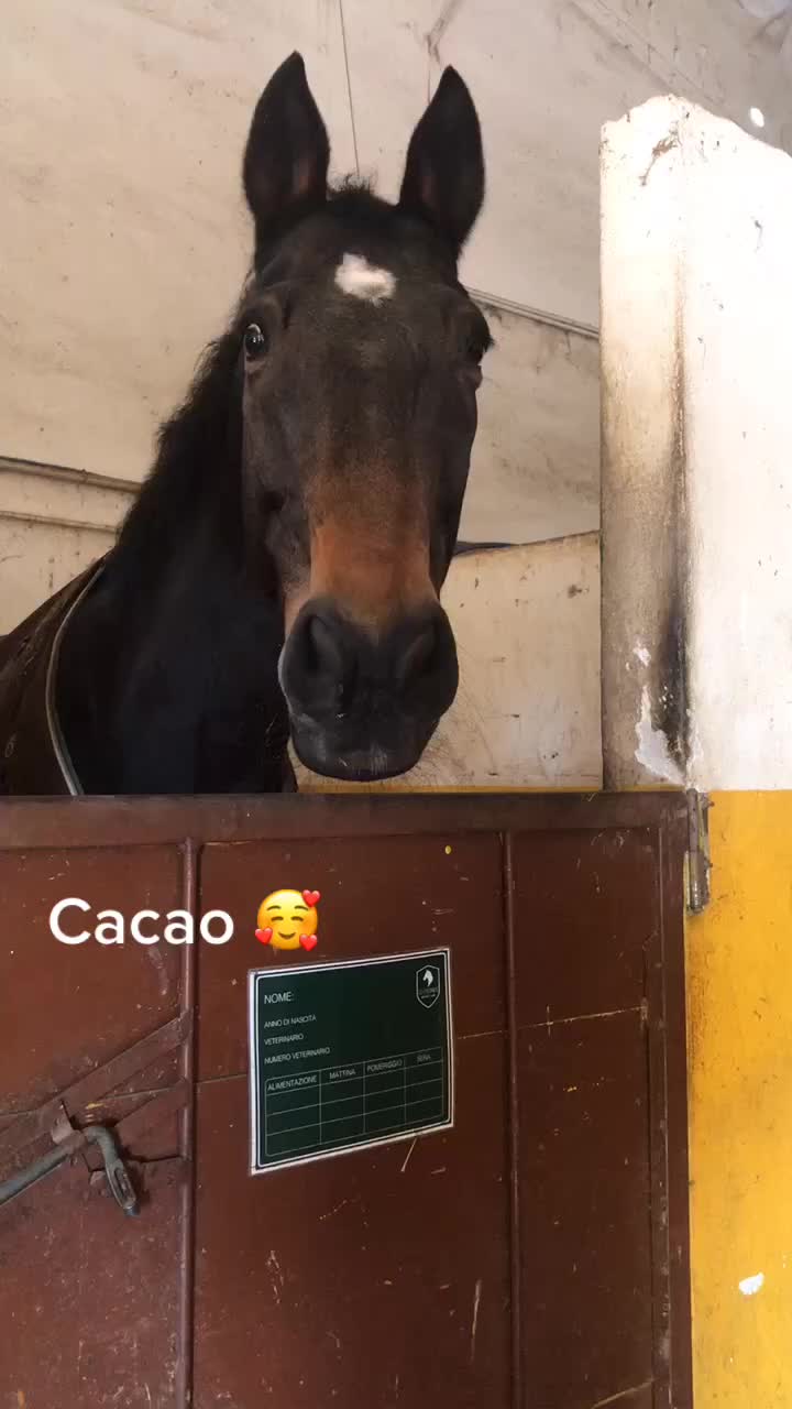 @Feffi