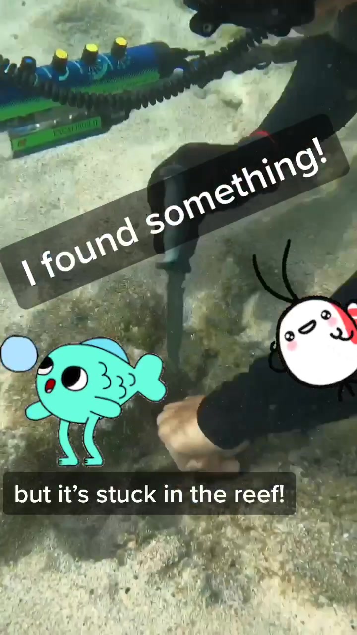 @northshoretreasurehu