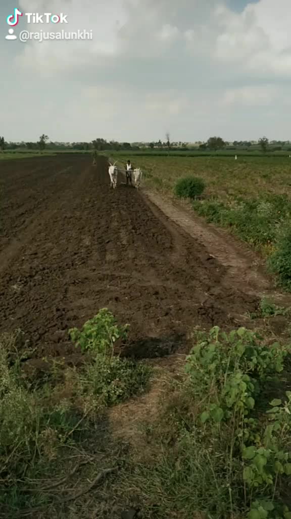 @Raju Salunkhi