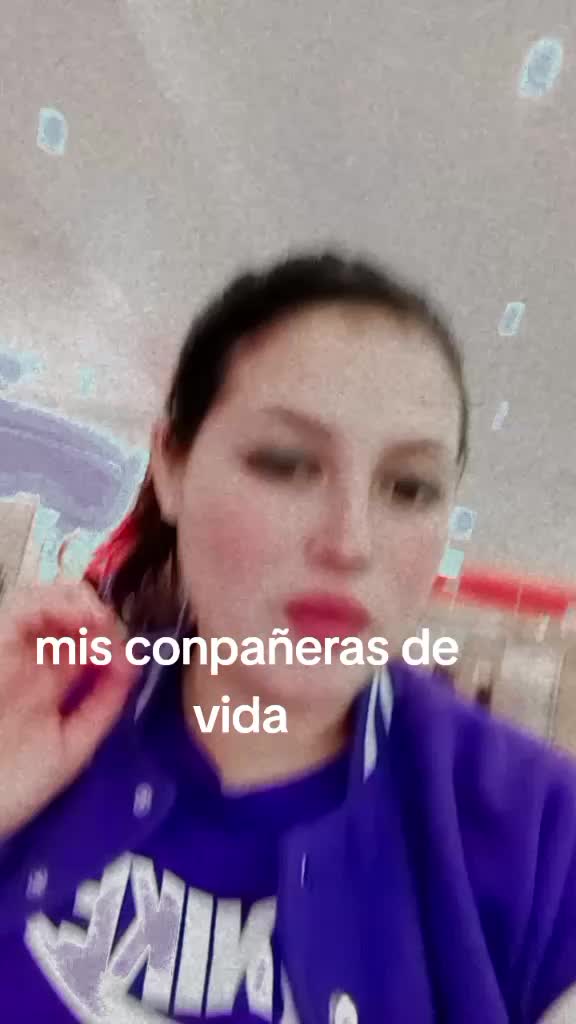 @stefi