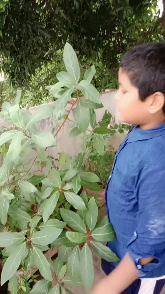 @deepshikha_naidu02
