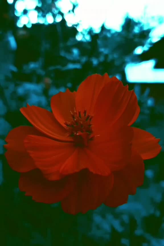 @Lost_In_Sound