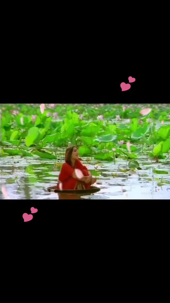@🌹🙈🌹🙉🌹🙊🌹