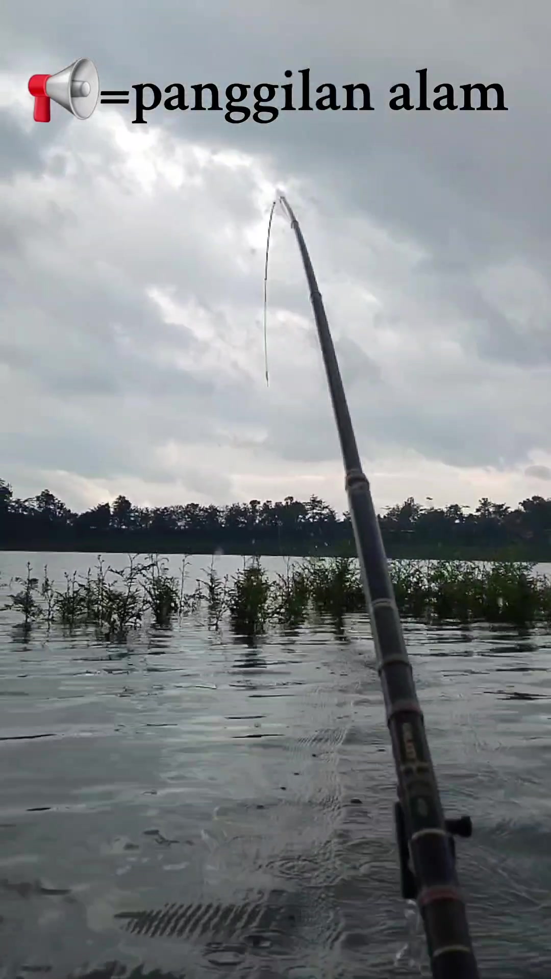 @MAFIA FISHING