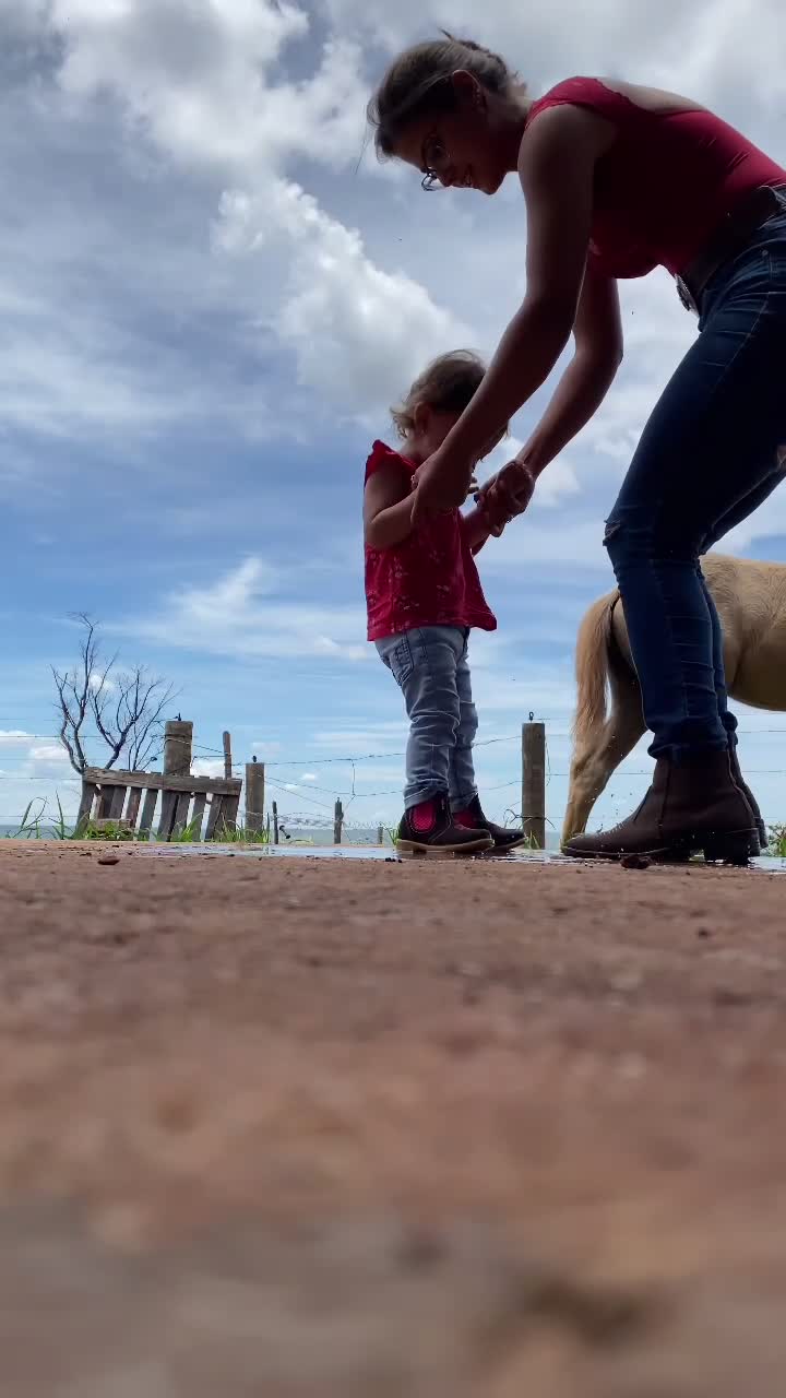 @Haras Z&eacute; Galego