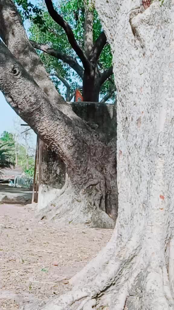 @Ram.Shivdekar.