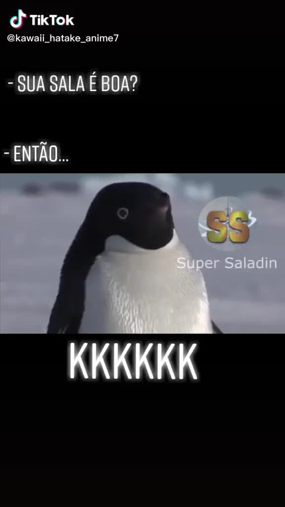 @hum sei lá🤣🤣🤣