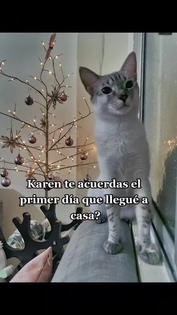 @ale_garciar0