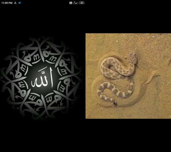 @sameershah786js