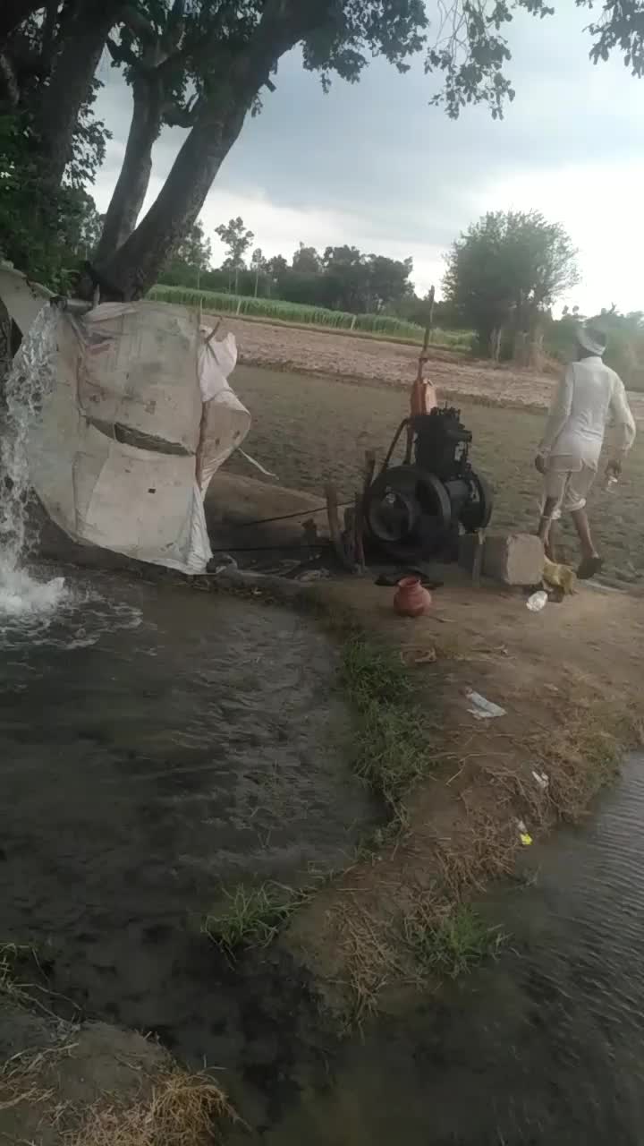 @Rajesh Malik