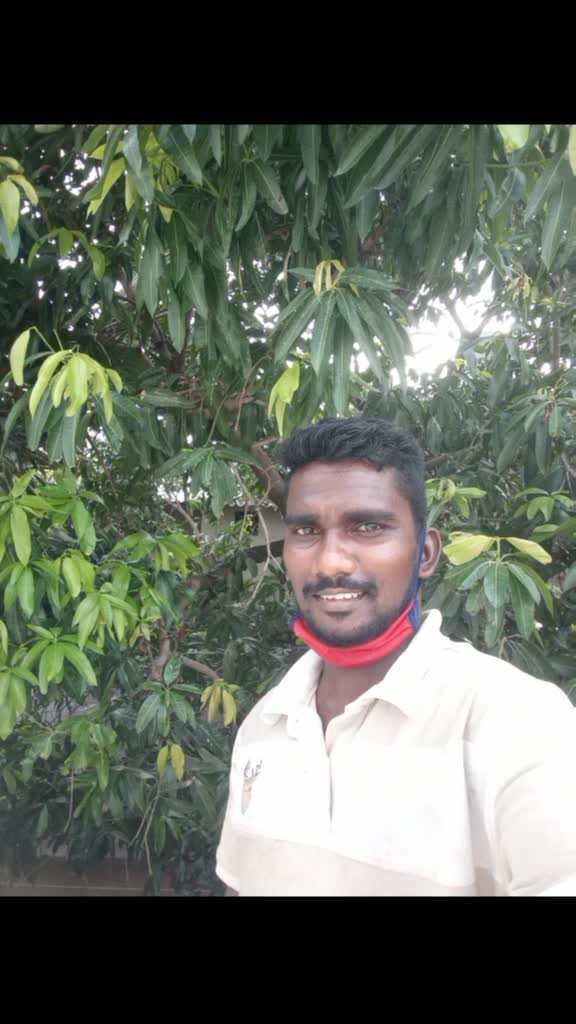 @user631606