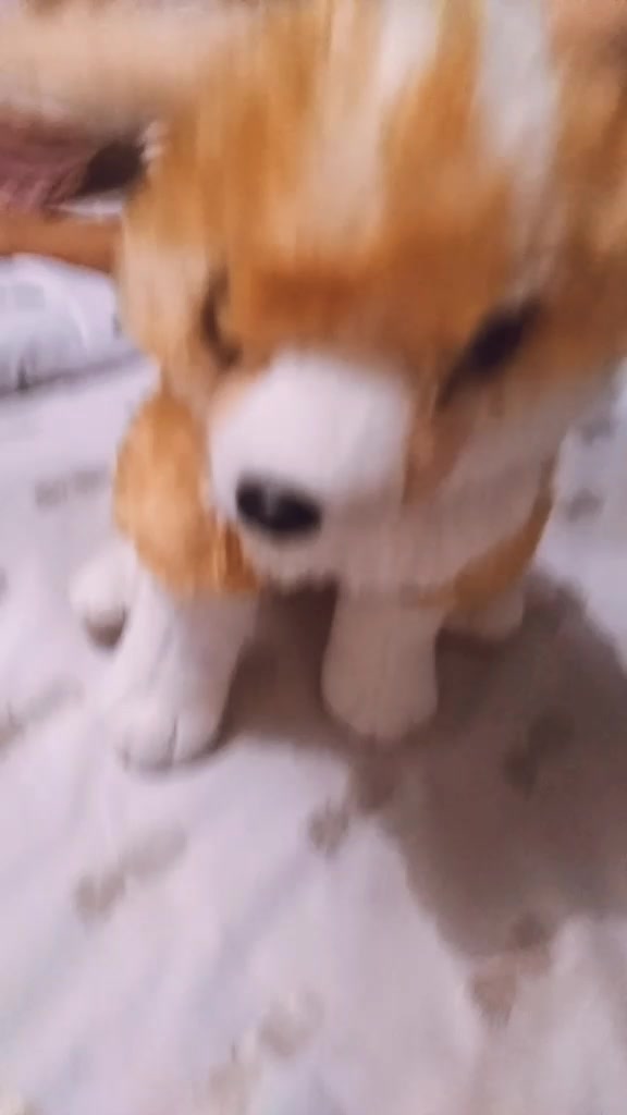 @omg