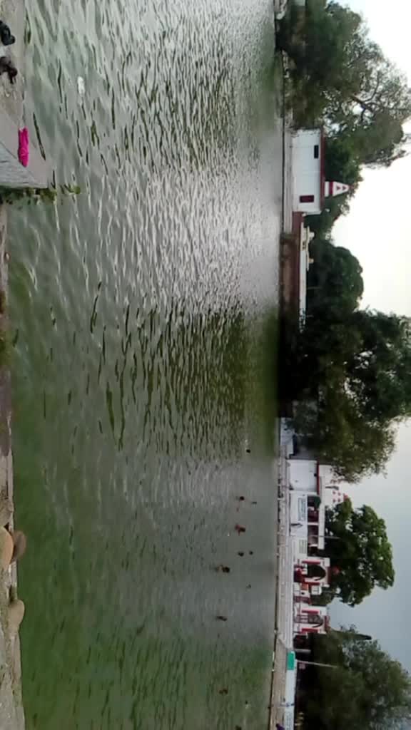 @Parika bhagat