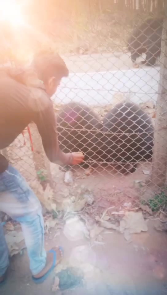 @छत्तीसगढ़या_टूरा D