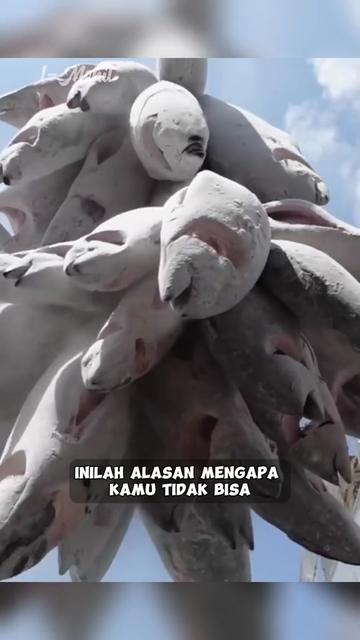 @1-Menit