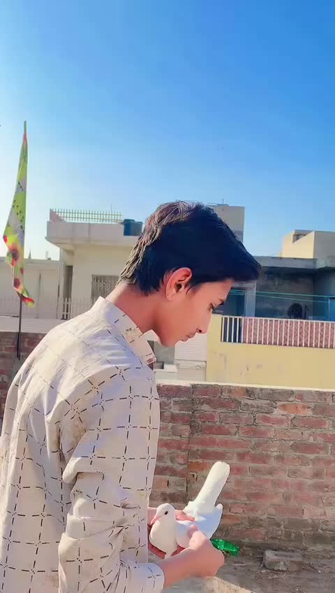 @Zilly_Zilly👑