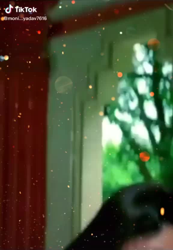 @pujarani
