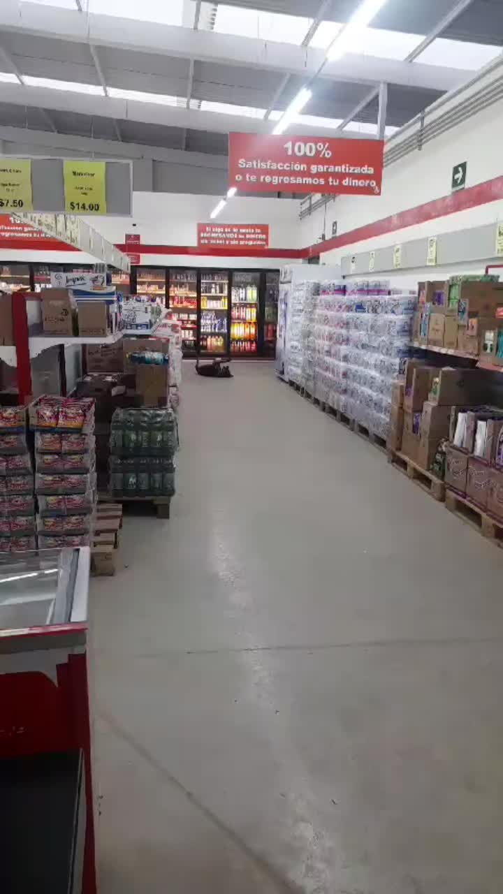 @Ivette Montaño