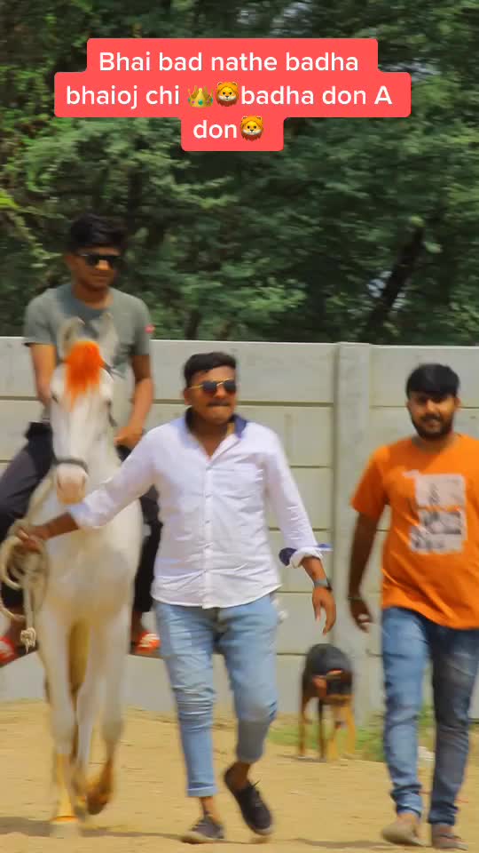 @Yuvibha Horse lover