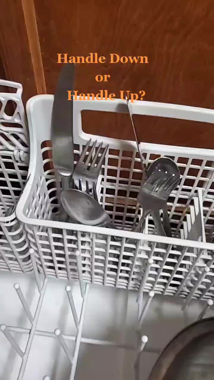 @Here To Learn Laugh And Love