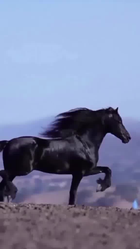 @yaadano hacee❤️🤺🏇