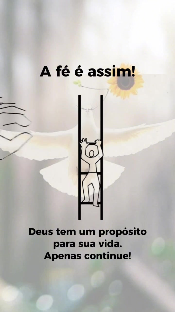 @@surtadinha