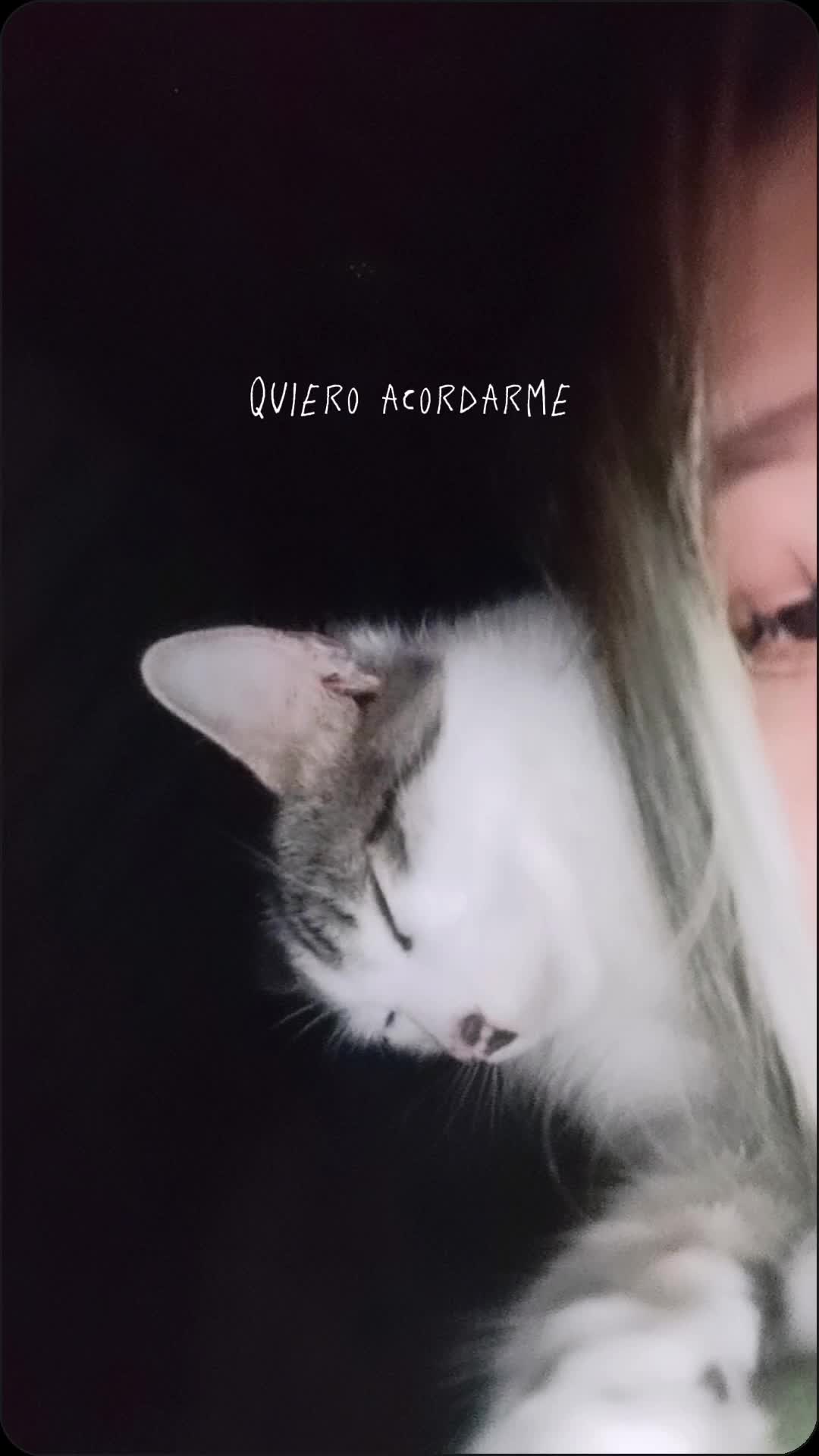 @fresita