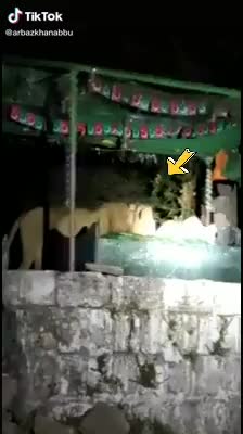@Sarfraj Khalifa