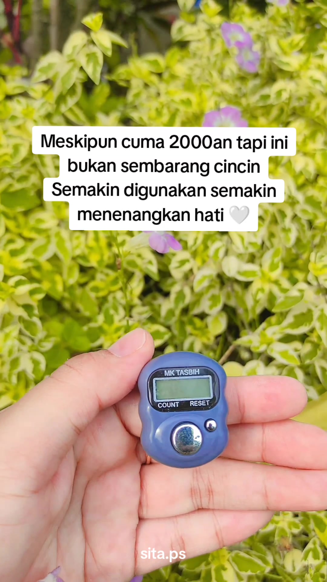 @Sita ps ๐น