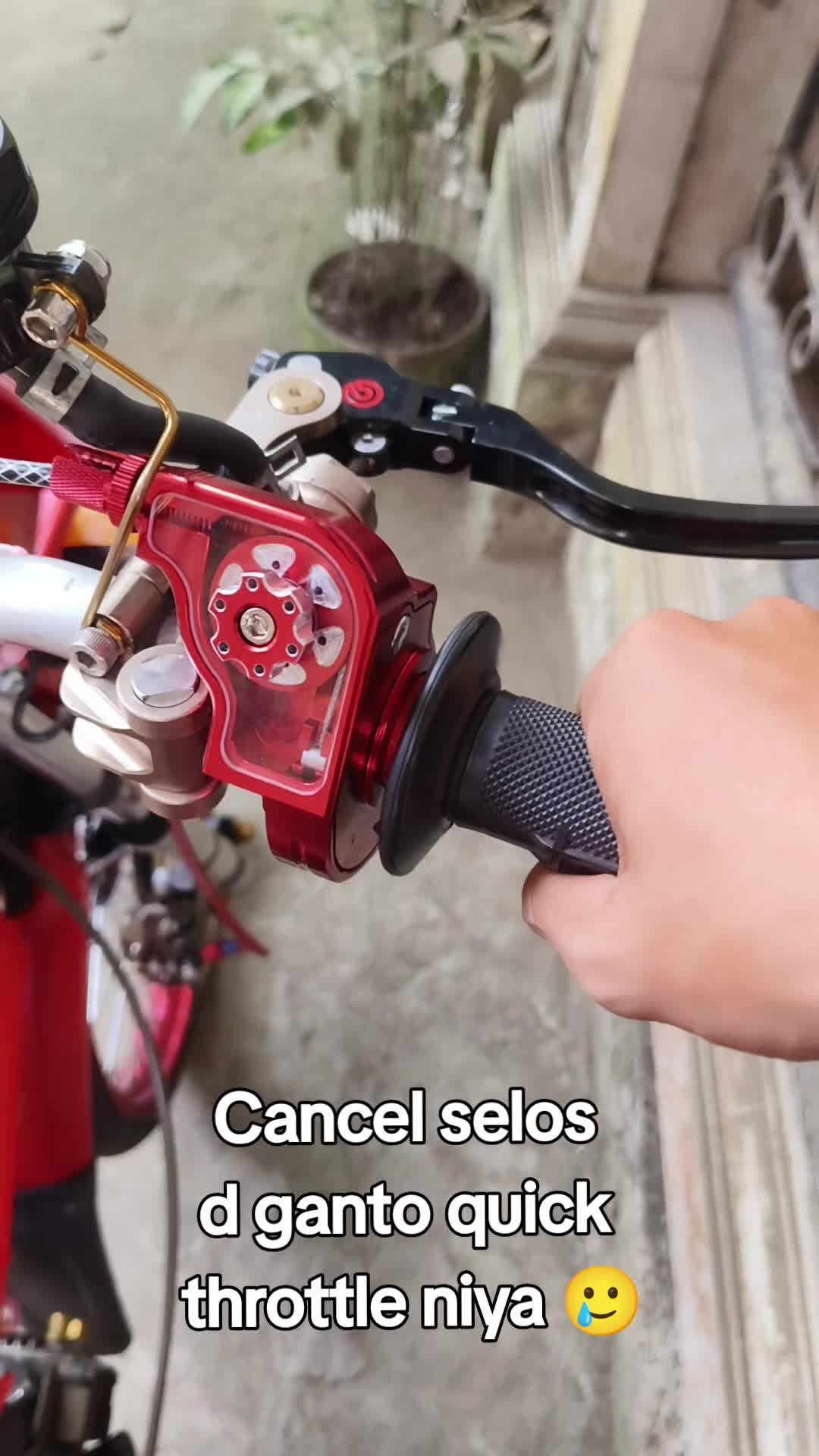 @REEDIE