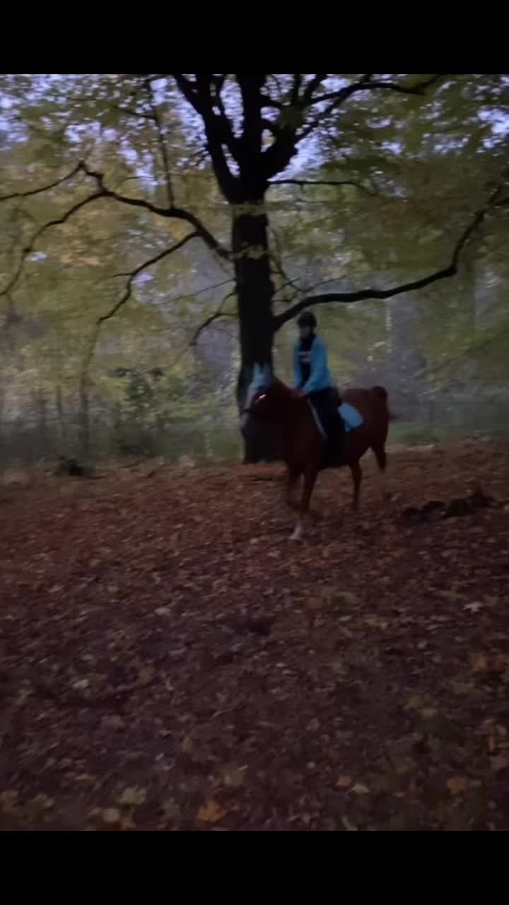 @W🦄