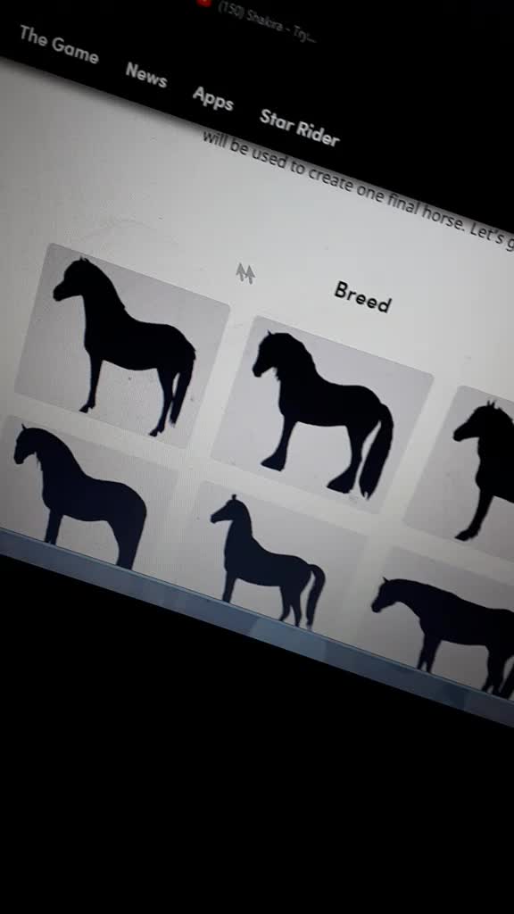 @just_nikolett