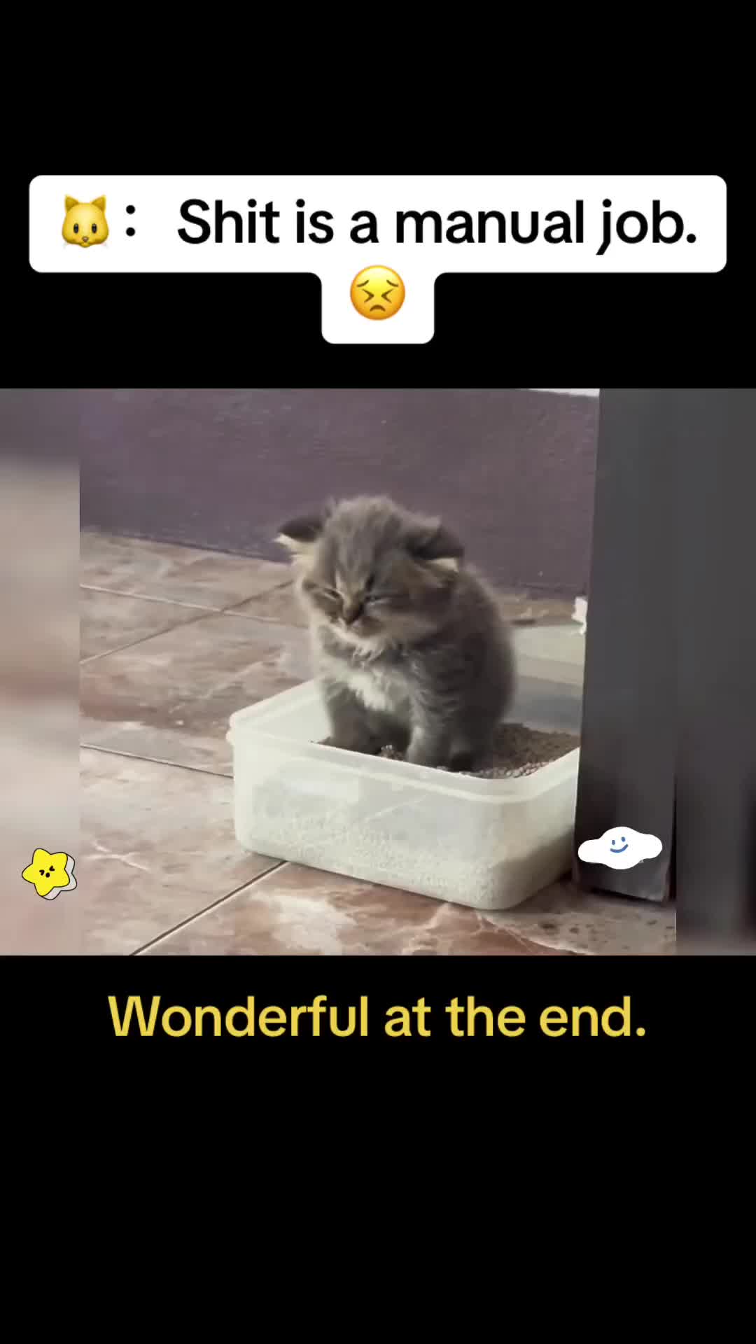 @Cute Pets😻