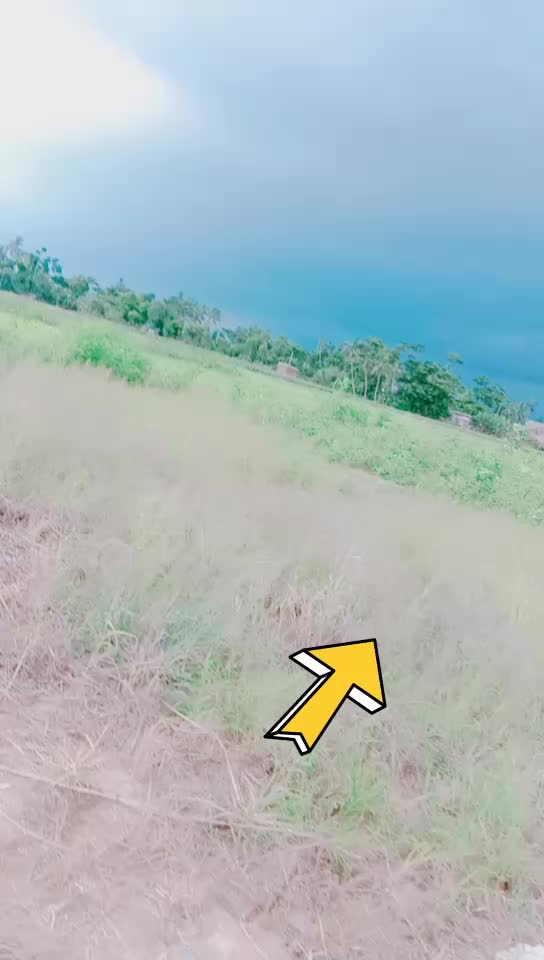 @SUkantaSUkanta59