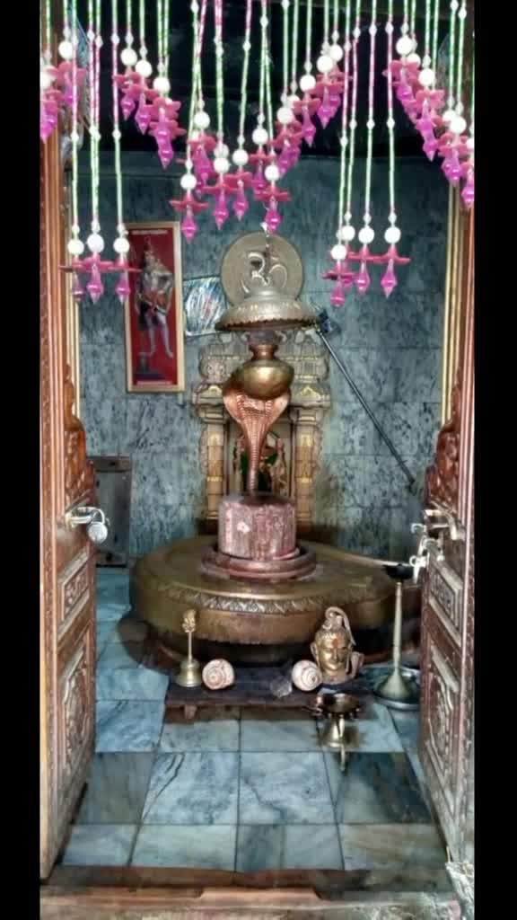@Mehul kumar venziya