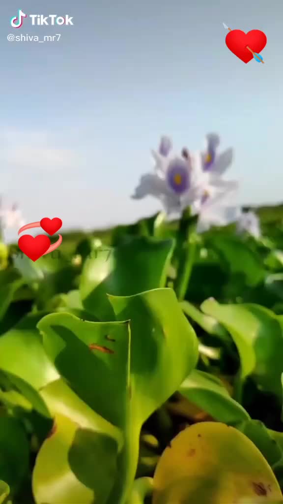 @user4428652352326