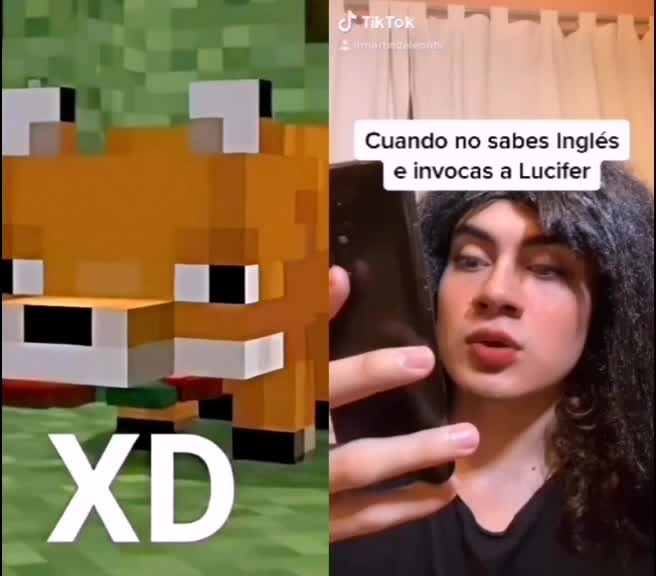 @Zorrito xd 🦊