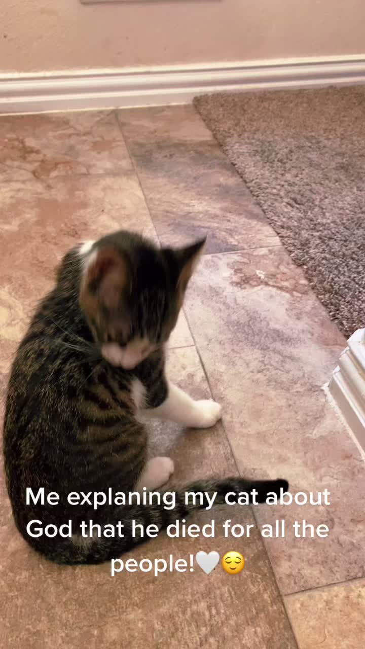 @JESUS_CHRIST_LOVES1