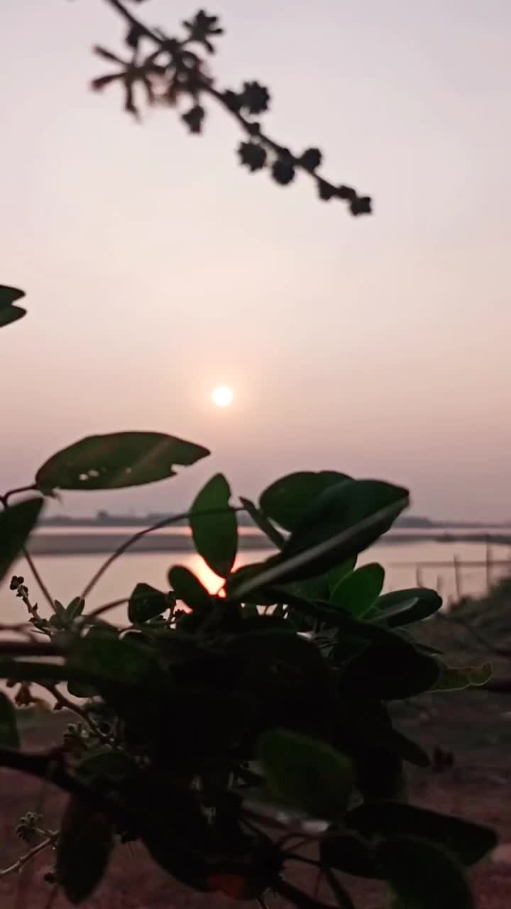 @Posukumar