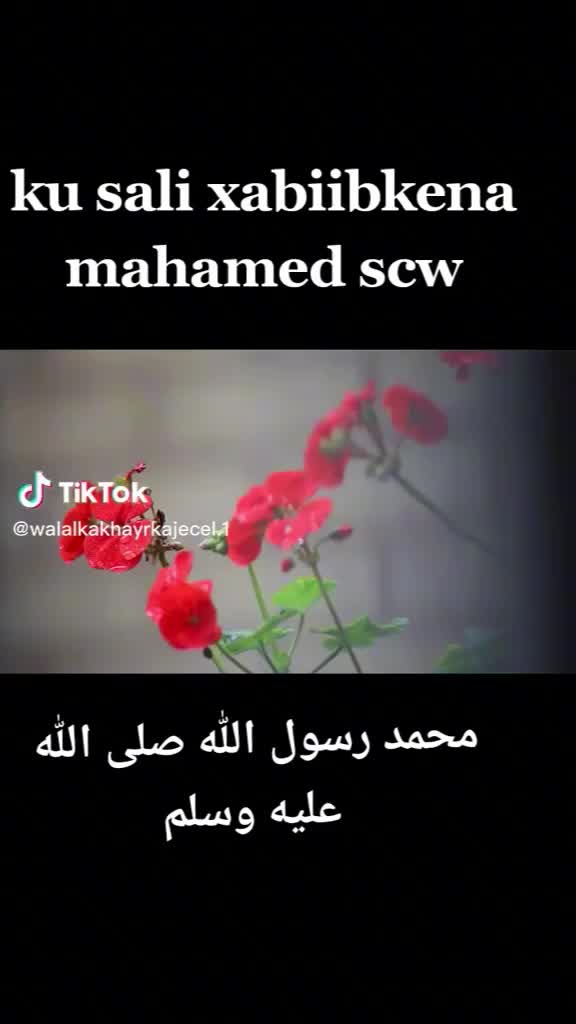 @walaalka khayrka