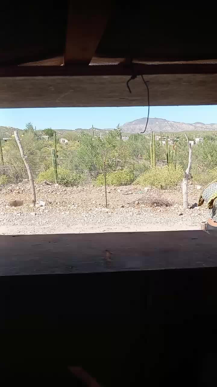 @exa 71