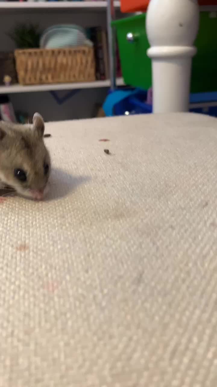 @Hi I’m bob let’s be friends!!!