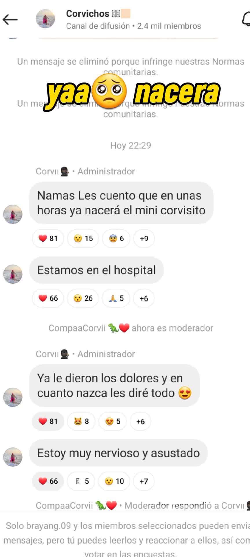 @corvis_fans🦖