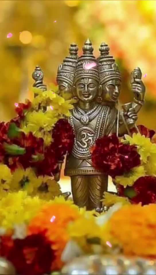 @prasad rikame
