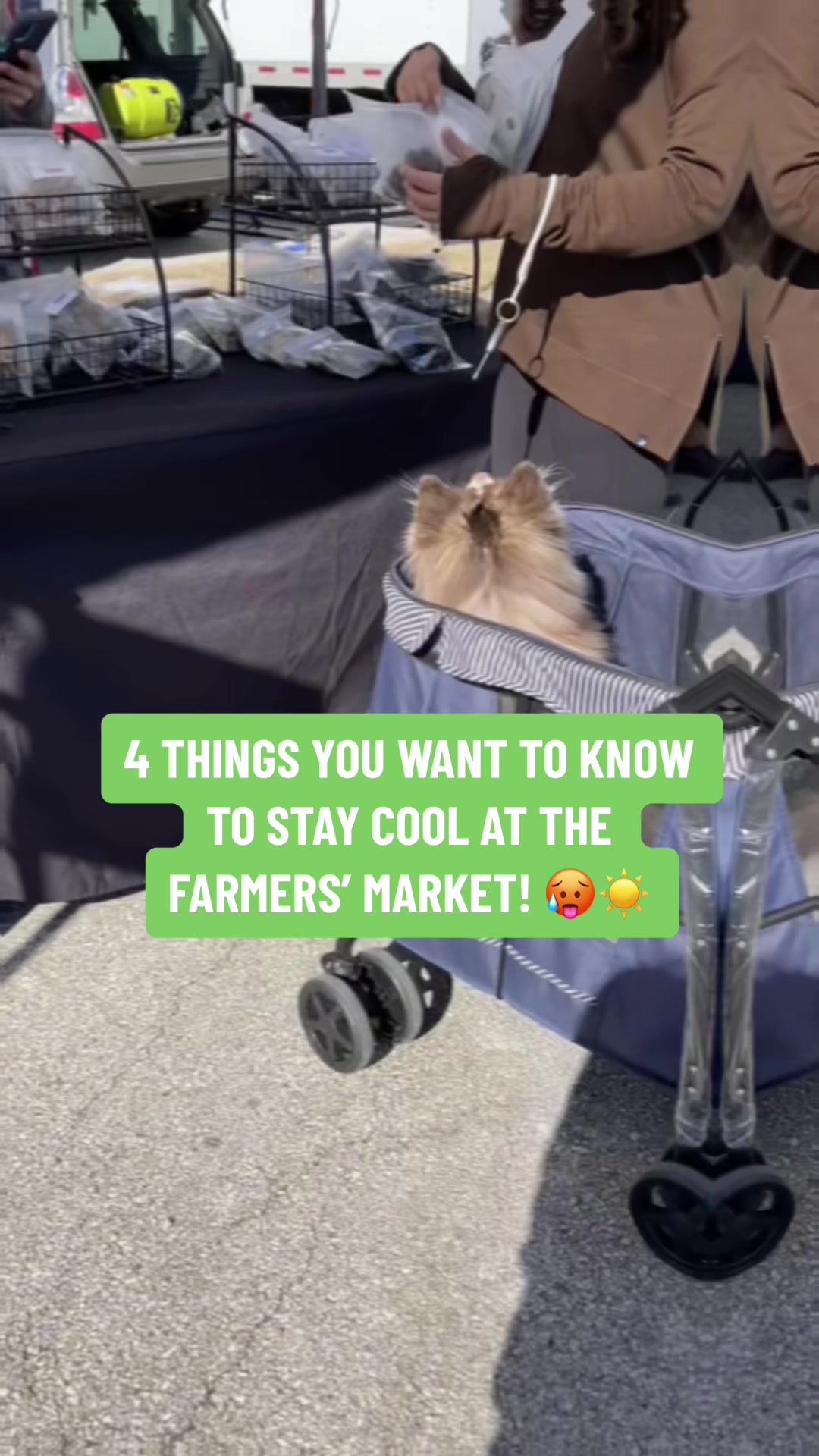 @Texas Farmers Market