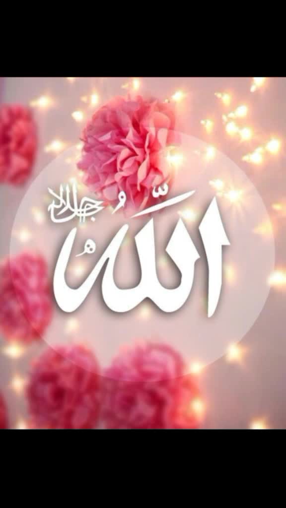 @skatif1137